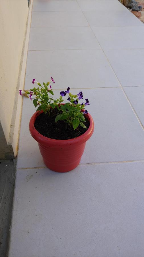 Casal Ostara Begonia Hotel Alto Paraíso de Goiás Kültér fotó