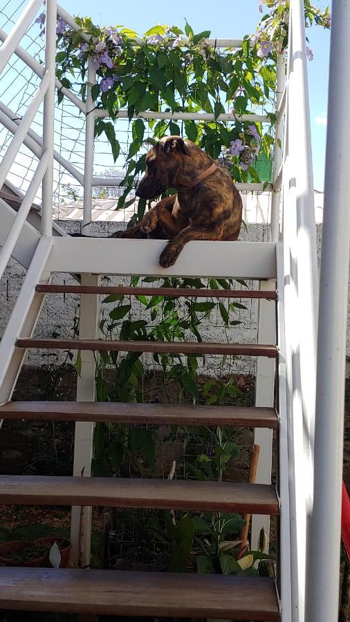 Casal Ostara Begonia Hotel Alto Paraíso de Goiás Kültér fotó